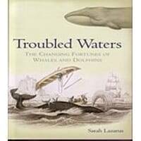 Troubled Waters